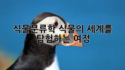 식물분류학: 식물의 세계를 탐험하는 여정