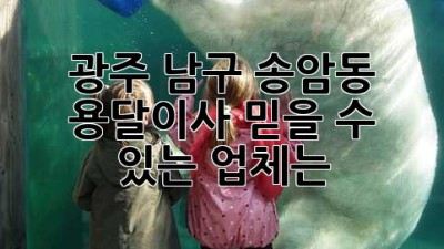 광주 남구 송암동 용달이사, 믿을 수 있는 업체는?